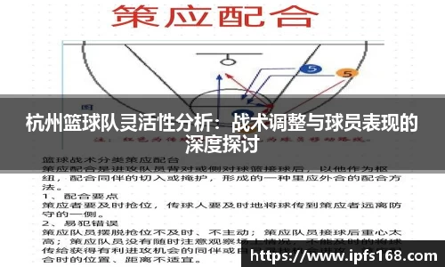 杭州篮球队灵活性分析：战术调整与球员表现的深度探讨